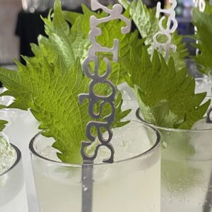 Stir all your Sasbery cocktails